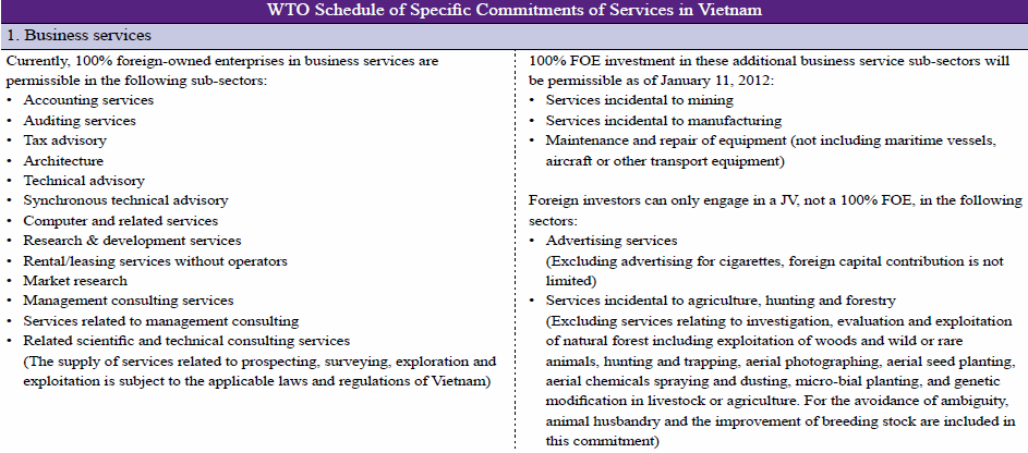 Comparing FOE and JV in Vietnam: Business Services