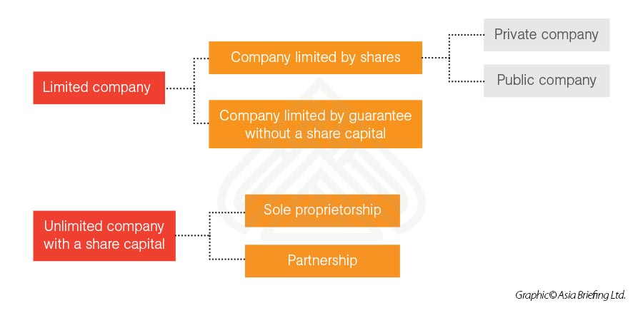 limited unlimited company limited by shares guarantee without share capital