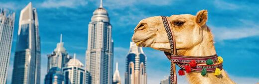 The UAE – 2022-2024 Foreign Investment Trends – New Complimentary Issue Of Asia Investment Research Out Now
