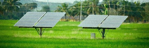 Investing in India’s Green Economy