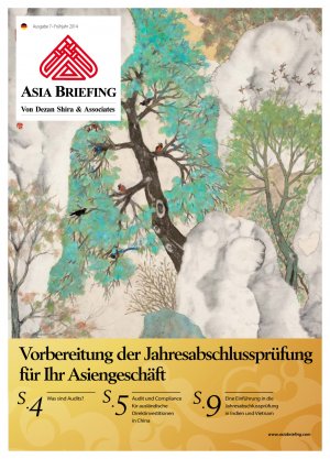 vorbereitung_der_jahresabschlussprüfung_cover